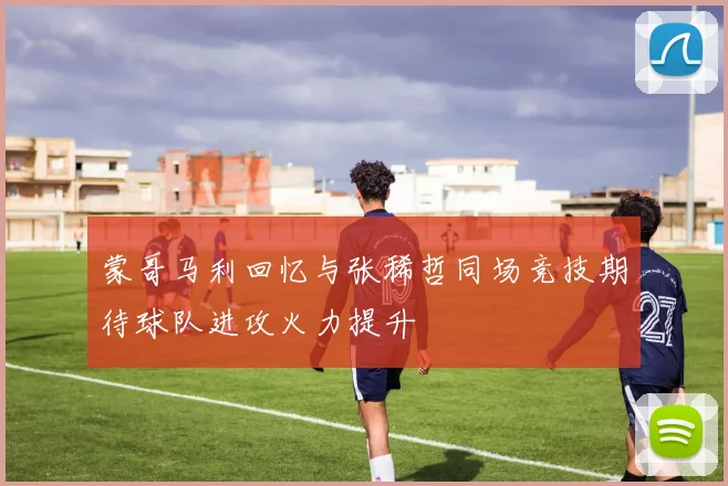 蒙哥马利回忆与张稀哲同场竞技期待球队进攻火力提升